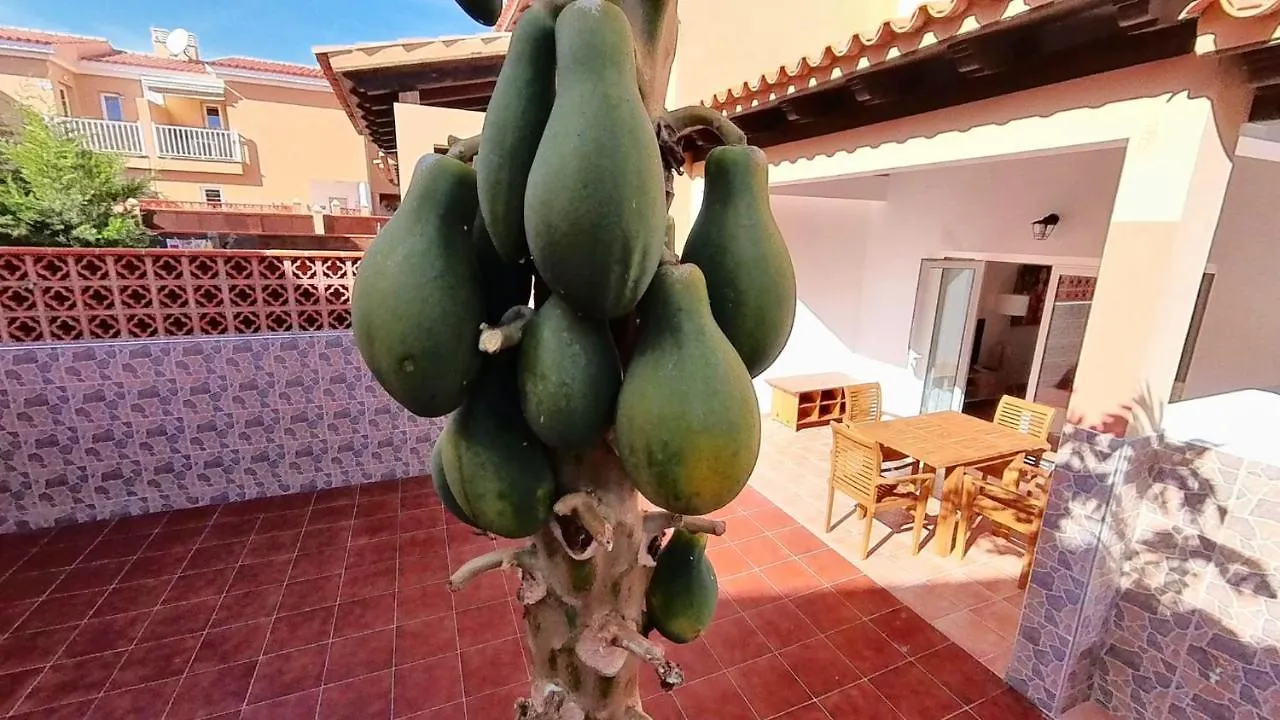 La Casa De La Papaya, By Comfortable Luxury Corralejo